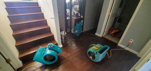 Best Water damage cleanup near me  in Elmsford, NY