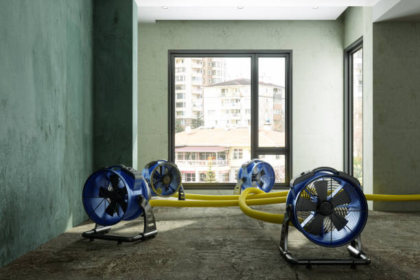 Best Water damage restoration specialists  in Elmsford, NY